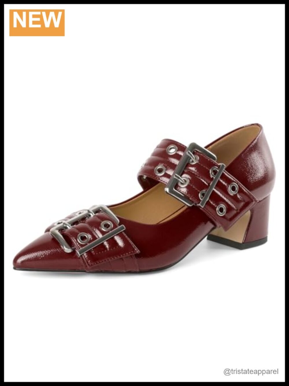 Women's Chunky Heel Mary Jane Pumps Point Toe Metal Buckle Strap Heels